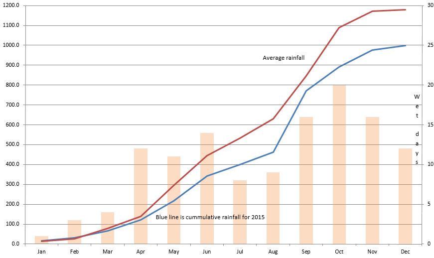 Pattaya rainfall